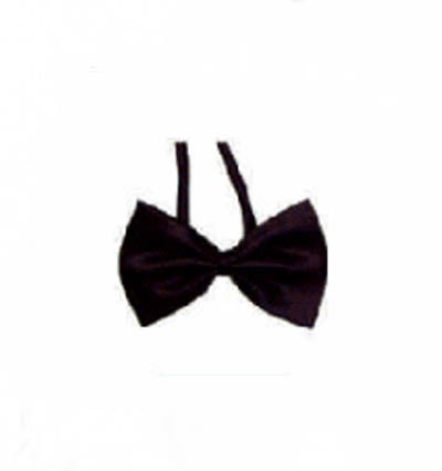 BT019 customized suit bow tie online order formal bow tie manufacturer detail view-1